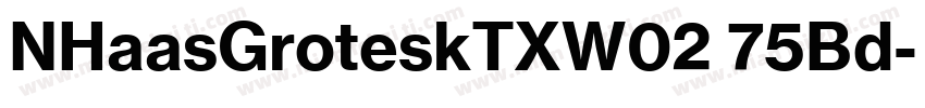 NHaasGroteskTXW02 75Bd字体转换